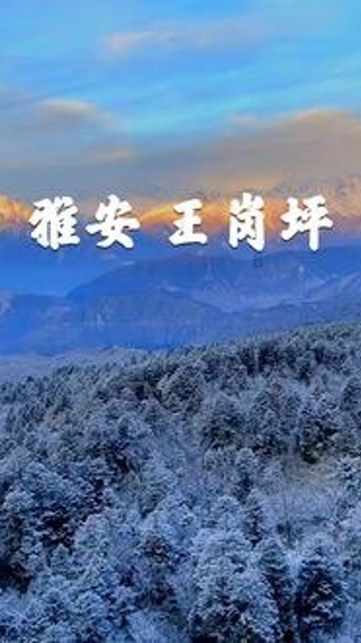 2024年春节文明祭祀倡议书